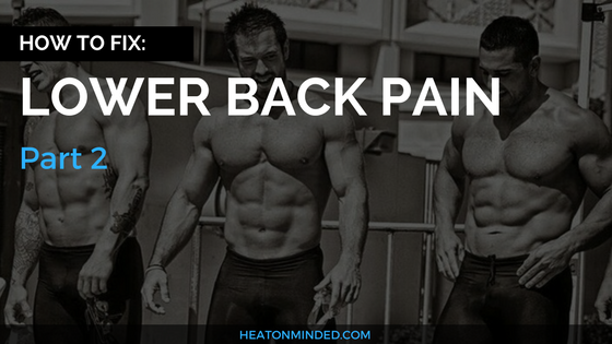 How To Fix Low Back Pain In One Day, Part 2: Strengthen Your Core