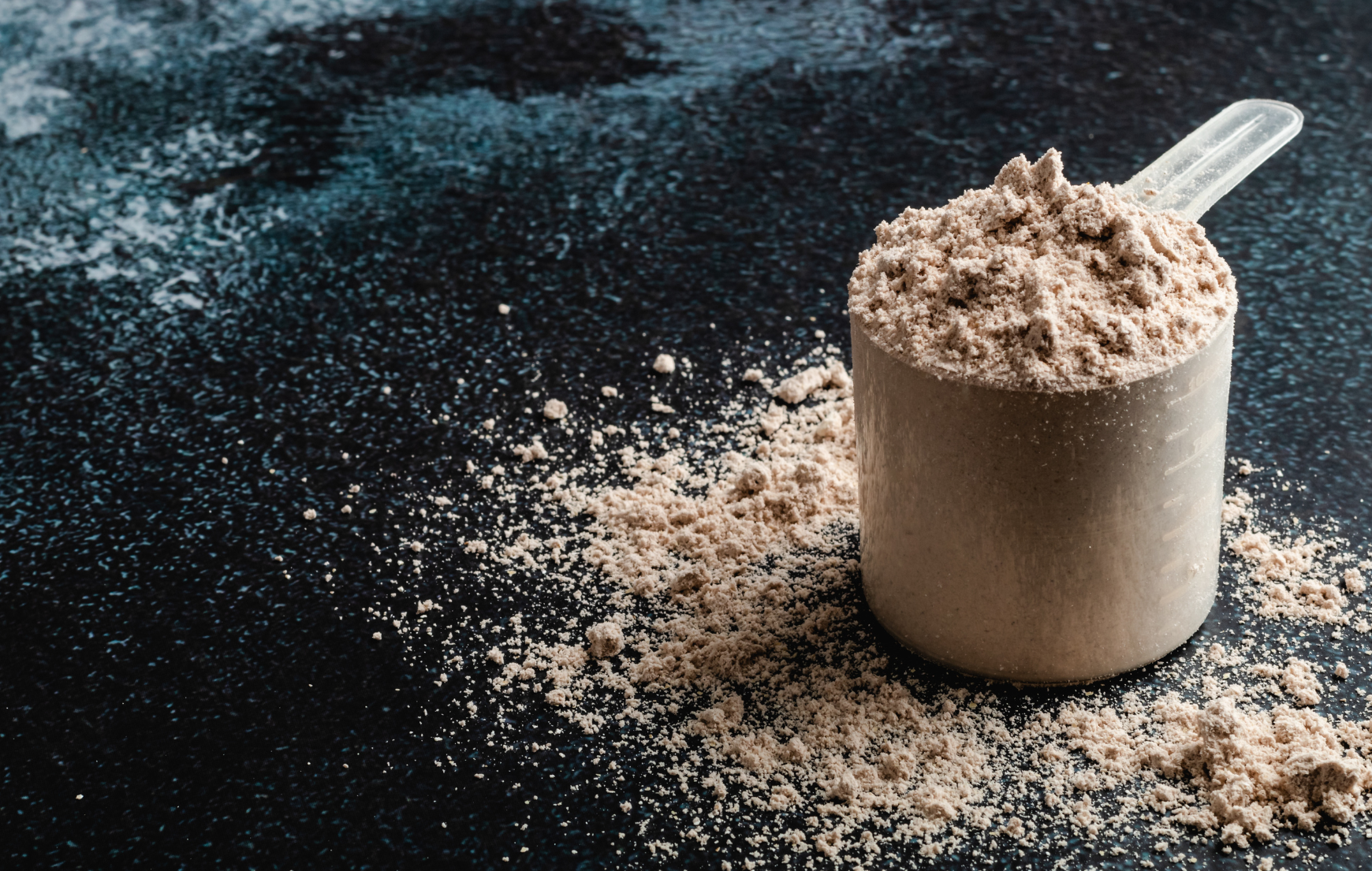 Which Protein Powder Has the Highest Protein-By-Weight Ratio?